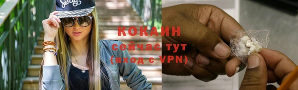 гидропоника Новозыбков