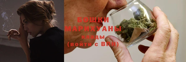 шишки Новокубанск