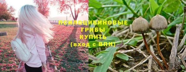 гидропоника Новозыбков