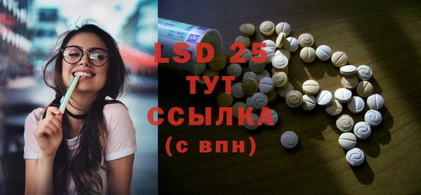 шишки Новокубанск