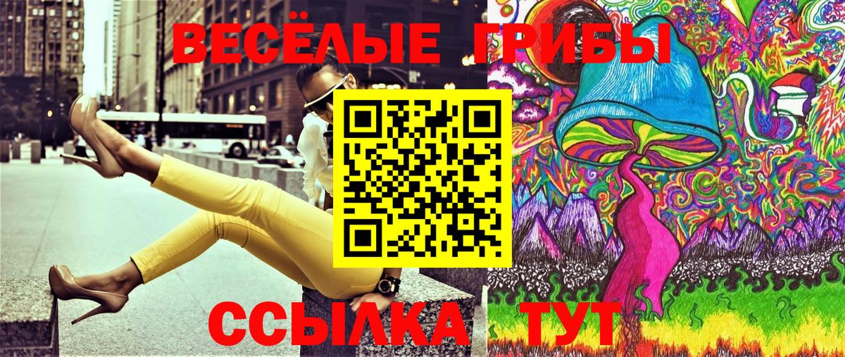 Ярославль  Псилоцибиновые грибы GOLDEN TEACHER  Вход с VPN 