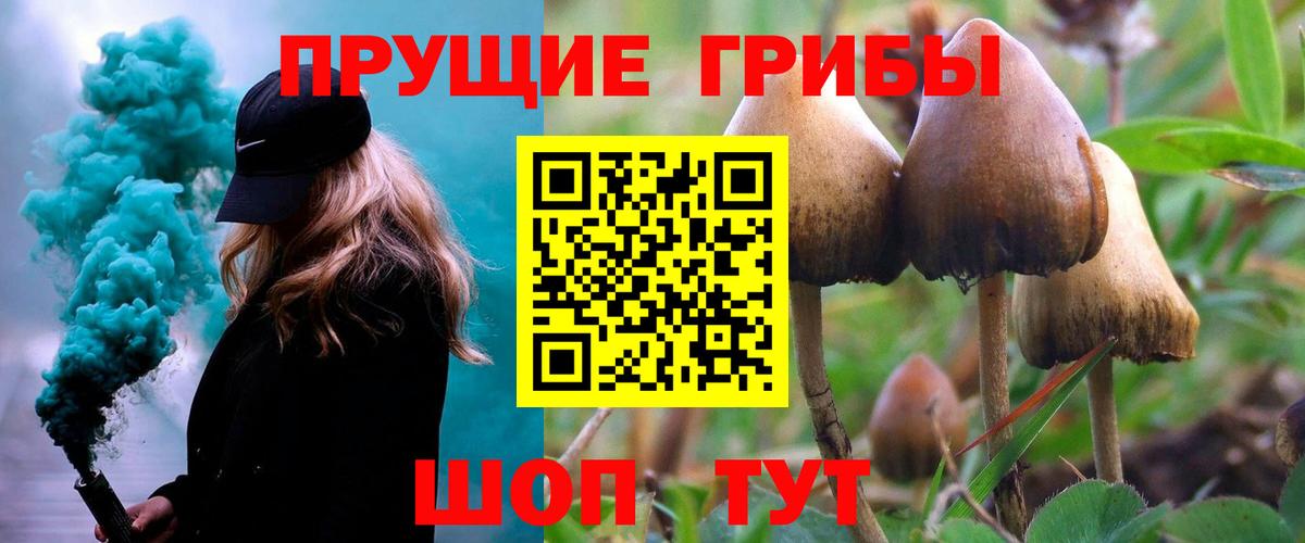 Галлюциногенные грибы Psilocybe  Псилоцибиновые грибы Psilocybe  Ярославль 