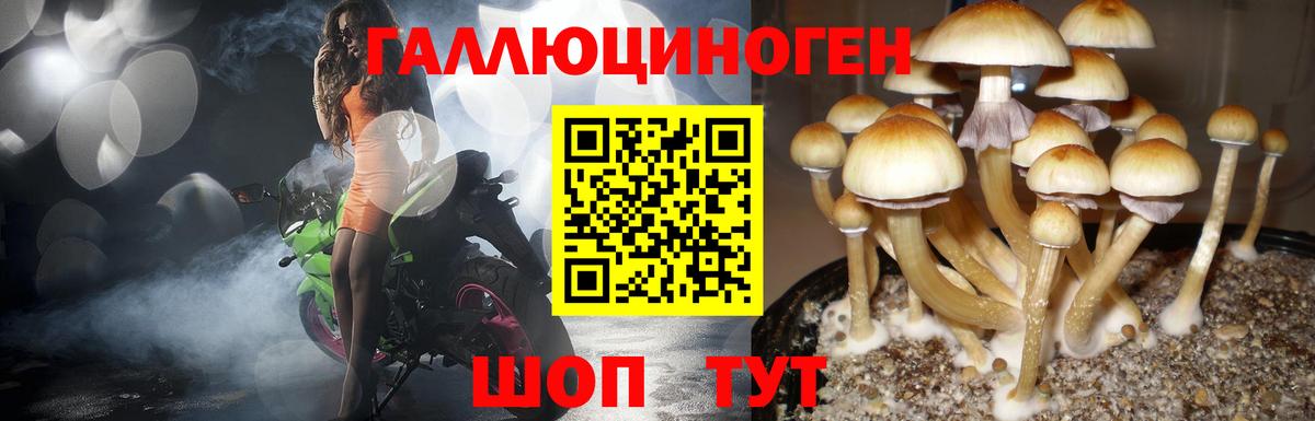Галлюциногенные грибы MAGIC MUSHROOMS Ярославль