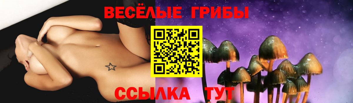 Галлюциногенные грибы Magic Shrooms  Вход с VPN  Ярославль  Галлюциногенные грибы Cubensis 